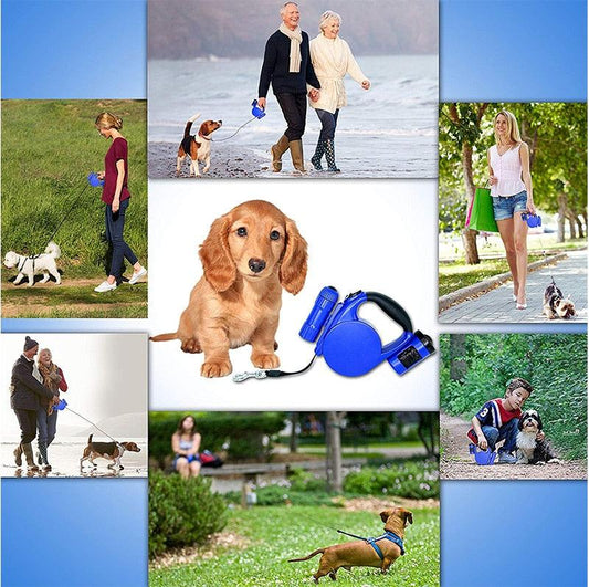 Collage of people walking dogs with blue retractable leash and close-up of dachshund puppy and leash