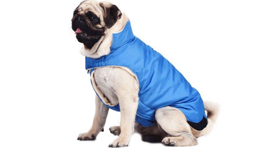 Cozy Cotton Dog Coat Vest - Stylish European And American Style For All Genders - PawNexa
