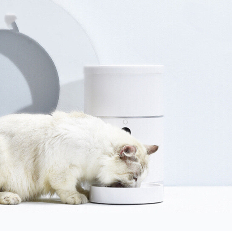 White cat eating from modern automatic pet feeder on white surface with clear bowl