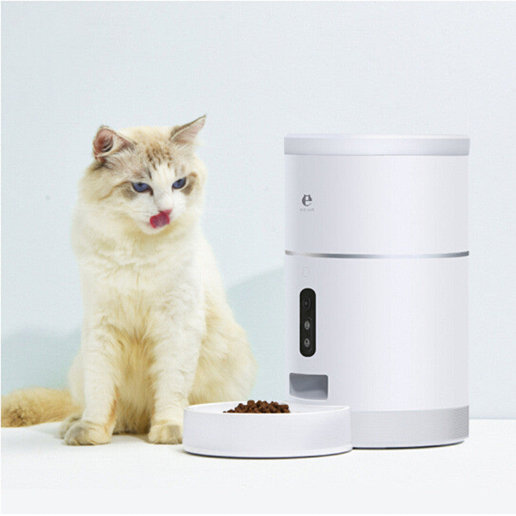 Fluffy cream-colored cat with blue eyes licking lips next to automatic pet feeder and bowl with dry food
