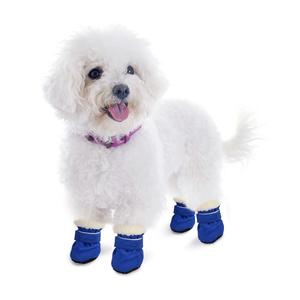 Small white fluffy dog wearing purple collar and blue protective booties on all paws