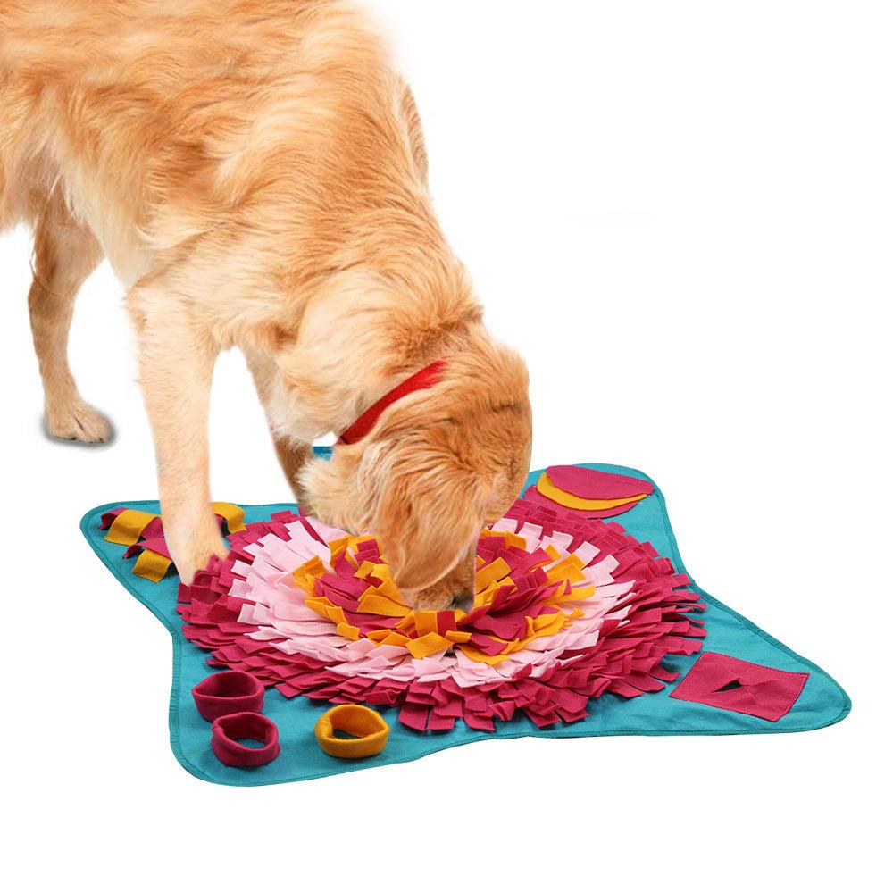 Interactive Pet Learning Toy - PawNexa