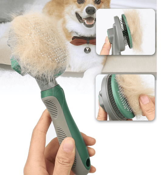 Hand holding green-gray pet grooming brush with dense fur, smiling corgi dog in background