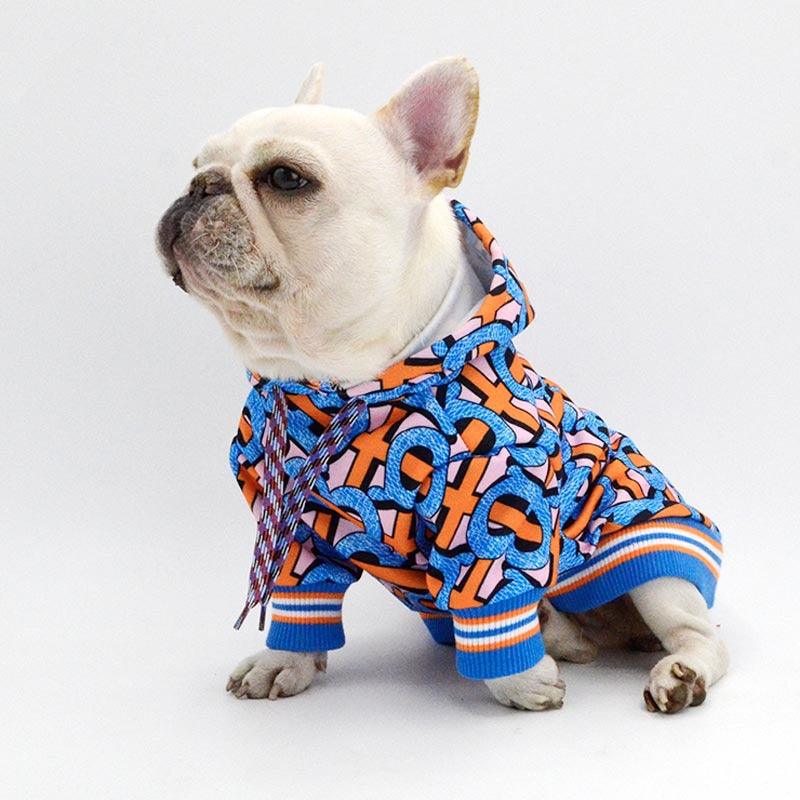 White French Bulldog wearing a colorful blue and orange patterned dog hoodie on white background