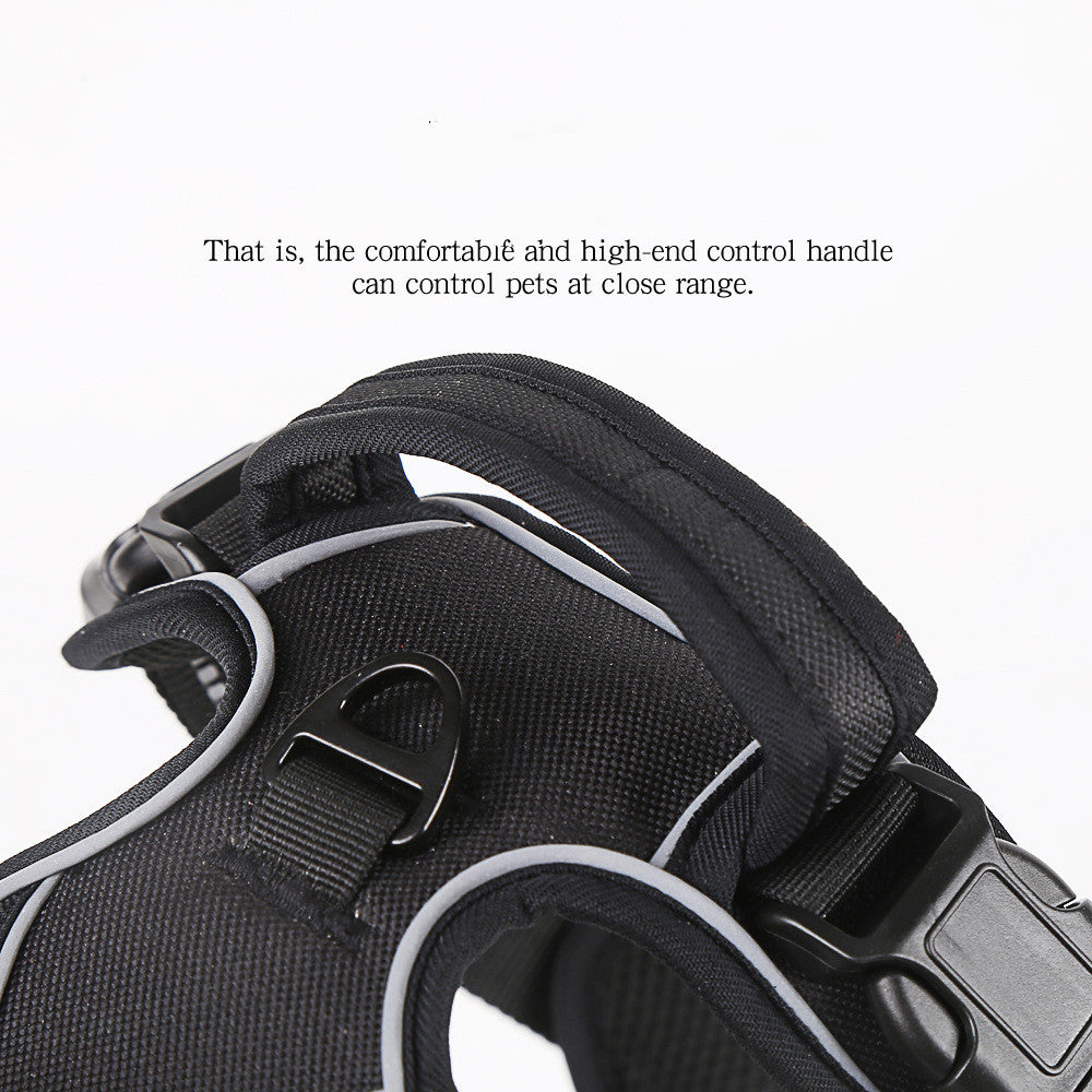 Close-up of black padded pet harness with sturdy control handle and metal leash ring