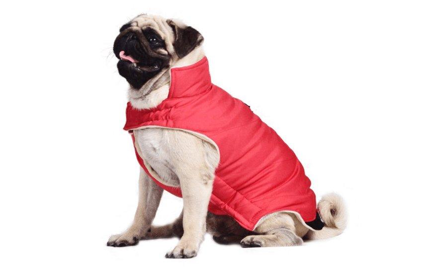 Cozy Cotton Dog Coat Vest - Stylish European And American Style For All Genders - PawNexa
