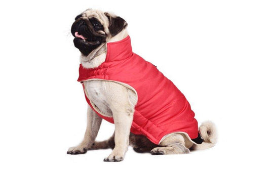 Cozy Cotton Dog Coat Vest - Stylish European And American Style For All Genders - PawNexa