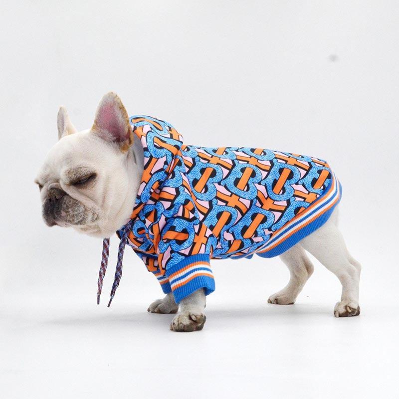 Small white French Bulldog wearing a colorful blue and orange patterned hoodie against a white background
