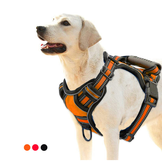 Labrador dog wearing adjustable orange and black padded harness with handle on white background