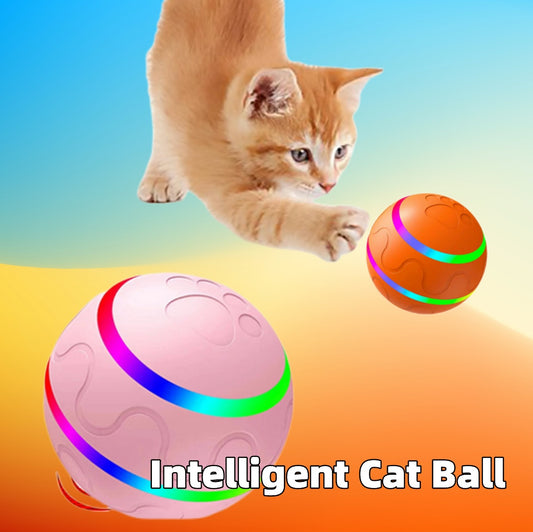 Orange kitten playing with colorful intelligent cat balls against blue and orange gradient background